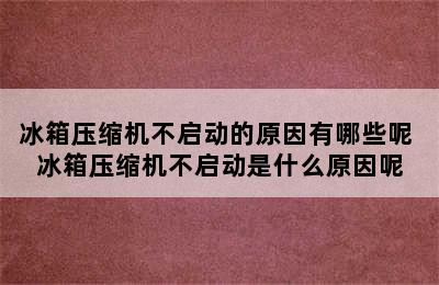 冰箱压缩机不启动的原因有哪些呢 冰箱压缩机不启动是什么原因呢